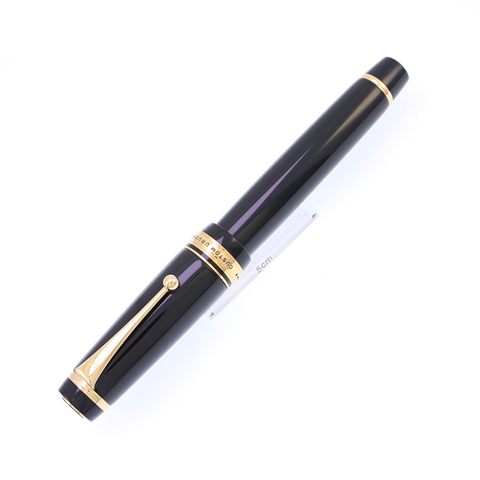 PILOT社2021年株主優待(CUSTOM HERITAGE 91 万年筆) PILOT社2021年株主優待(CUSTOM HERITAGE 91 万年筆) - メルカリ