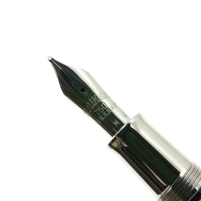 ペリカン 万年筆 M101N リザード Pelikan M101N Lizard - Euro Box