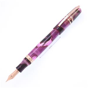 VISCONTI ビスコンティ 万年筆 リミテッドエディション ホモサピエンス アイリス ガーデン メイン