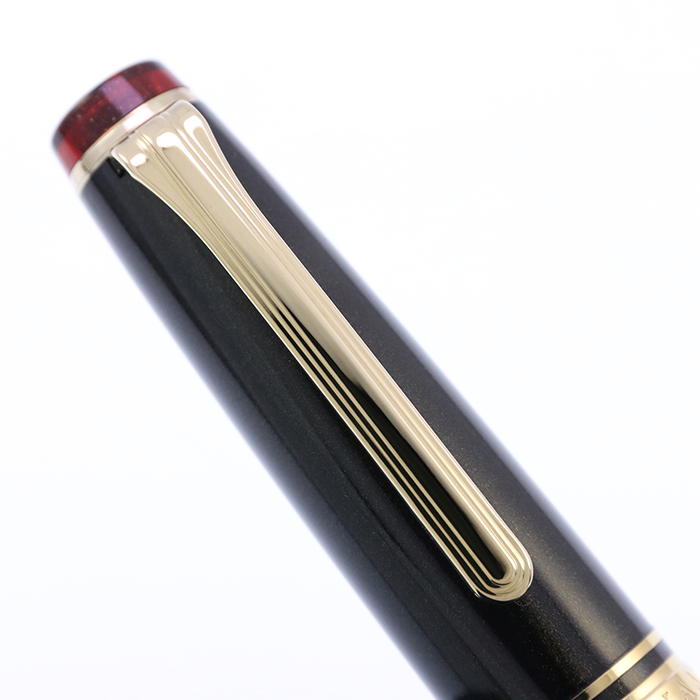 氷島 代官山蔦屋書店限定 セーラー万年筆 プロフェッショナルギア 低