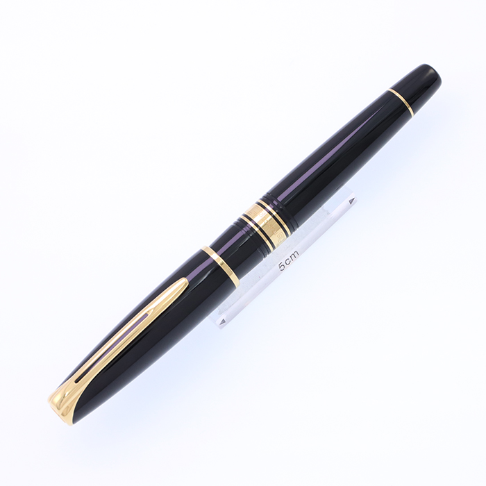 WATERMAN（ウォーターマン）万年筆 エキスパート エッセンシャル