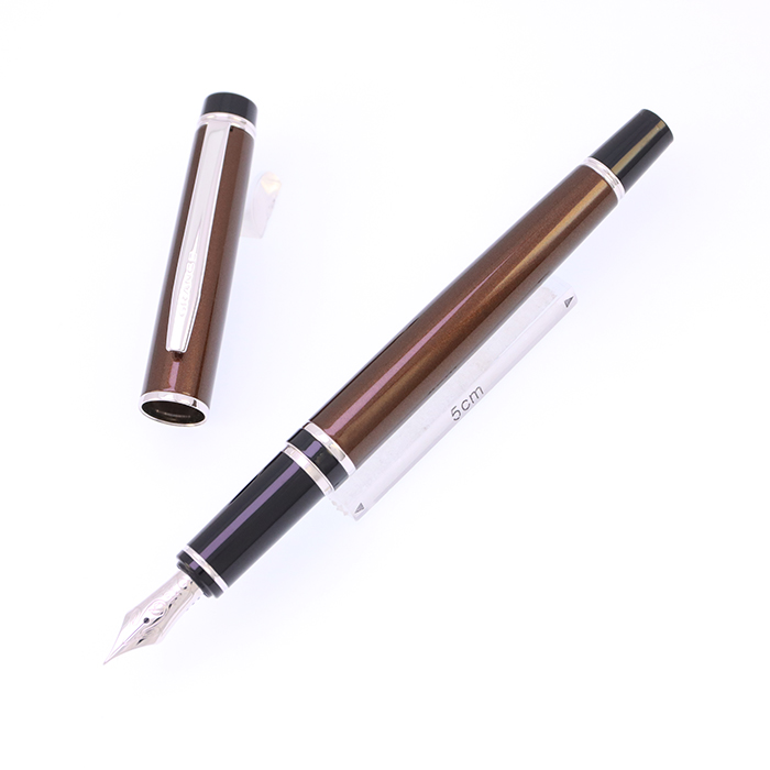PILOT社2009年株主優待 万年筆 Special Edition PILOT社2009年株主優待 万年筆 Special Edition 詳細ページ