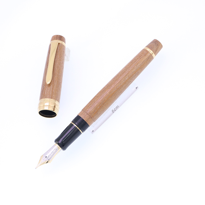 949 パイロット カスタム 鼈甲柄 万年筆