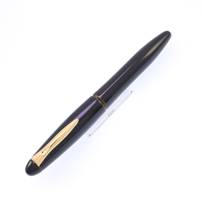 中古)PLATINUM プラチナ 万年筆 出雲 溜塗り 枇杷溜 細字（商品