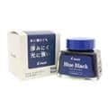 PILOT パイロット ボトルインク TSUWAIRO 【強色】 ブルーブラック(顔料) 30ml