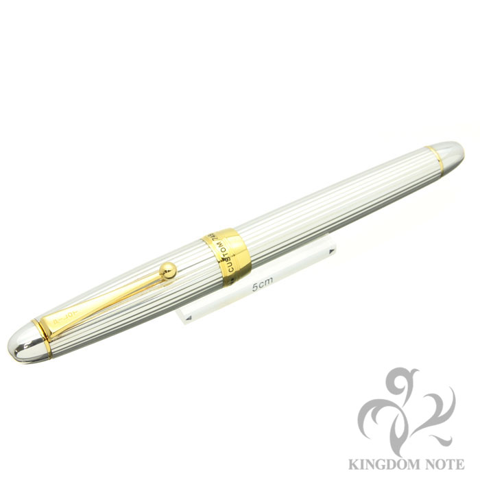 Pilot 万年筆 カスタム スターリングシルバー 18K F パイロット 万年筆 カスタム スターリングシルバー F 18K WG