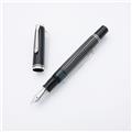 Pelikan ペリカン 万年筆 特別生産品 創業180周年モデル