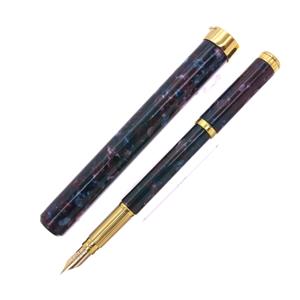 WATERMAN ウォーターマン 万年筆 レディ アガサ ブルーパープル F メイン
