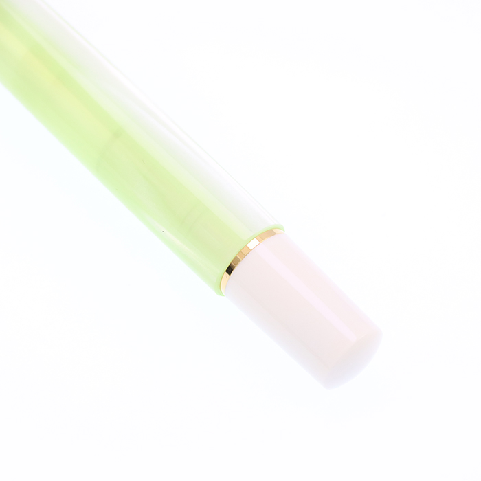 中古)Pelikan ペリカン 万年筆 スペシャルエディション クラシック