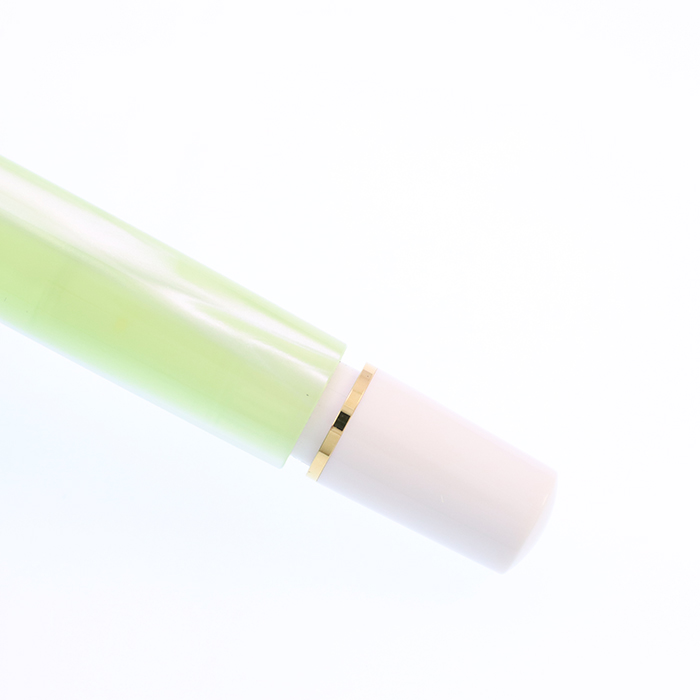 中古)Pelikan ペリカン 万年筆 スペシャルエディション クラシック
