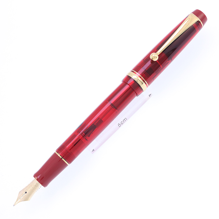 中古)PILOT パイロット 万年筆 大丸藤井セントラルオリジナル 北