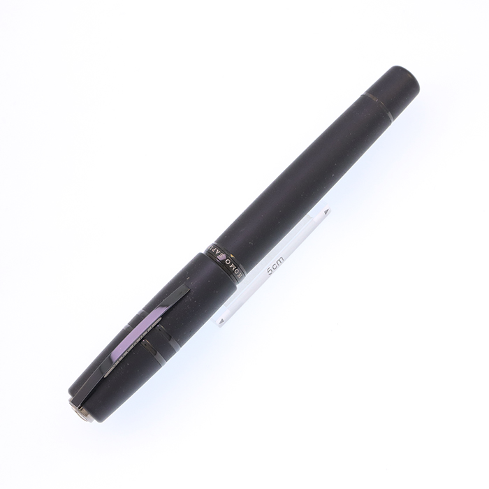 中古)VISCONTI ビスコンティ 万年筆 ホモサピエンス ダークエイジ