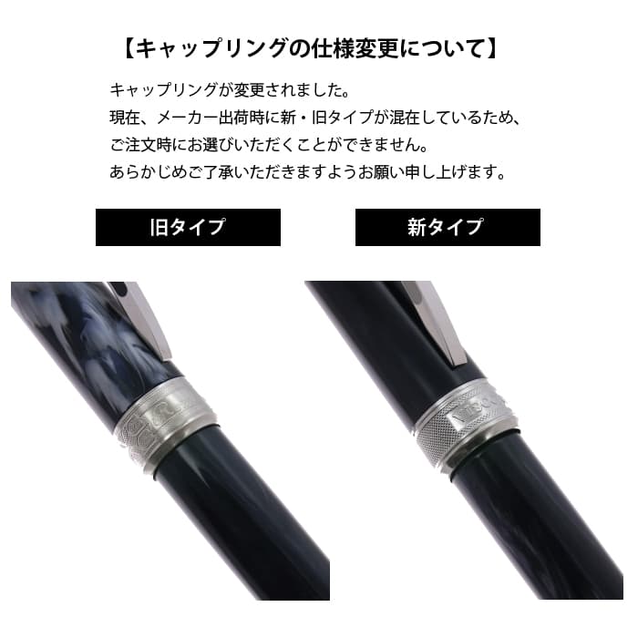 新品)VISCONTI ビスコンティ 万年筆 レンブラント ダークフォレスト