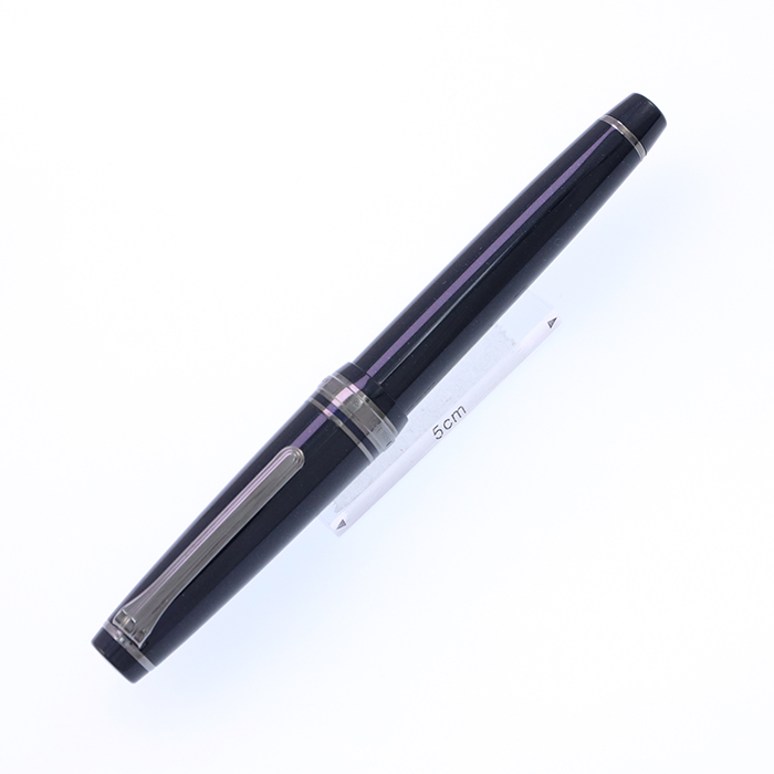 BUNGUBOX 文具ボックス 聖夜 プロギアレアロ EF BUNGUBOX 万年筆