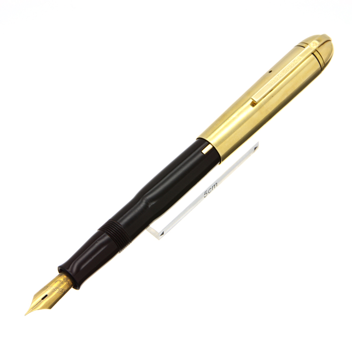 WAHL EVERSHARP エバーシャープ 万年筆 スカイライン