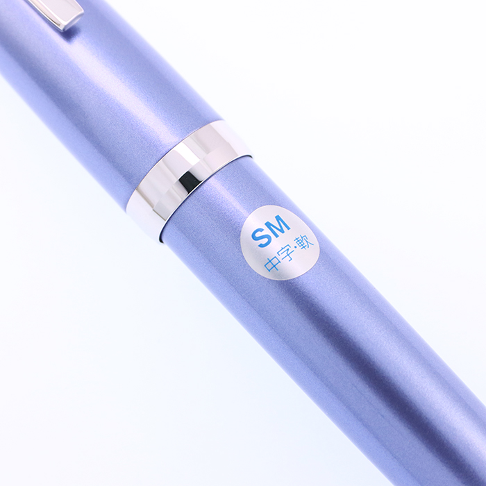 中古)PILOT パイロット 万年筆 エラボー ライトブルー 軟中字 (金属軸