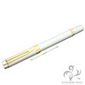 WATERMAN ウォーターマン 万年筆 ル･マン100 ソリッドシルバー 初期型