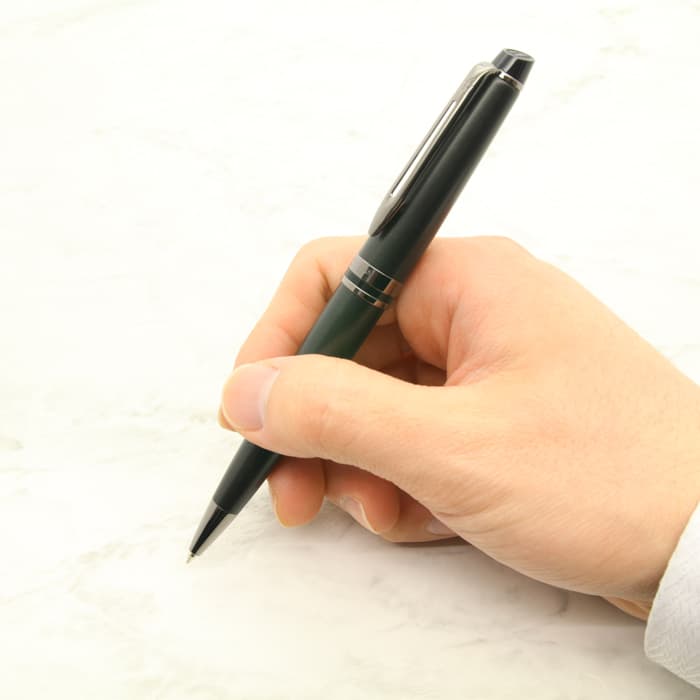 新品)WATERMAN ウォーターマン ボールペン エキスパート メタリック