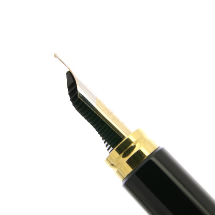 ウォーターマン万年筆ルマン100 ウォーターマン 万年筆 ル・マン100 ブラック WATERMAN Le Man