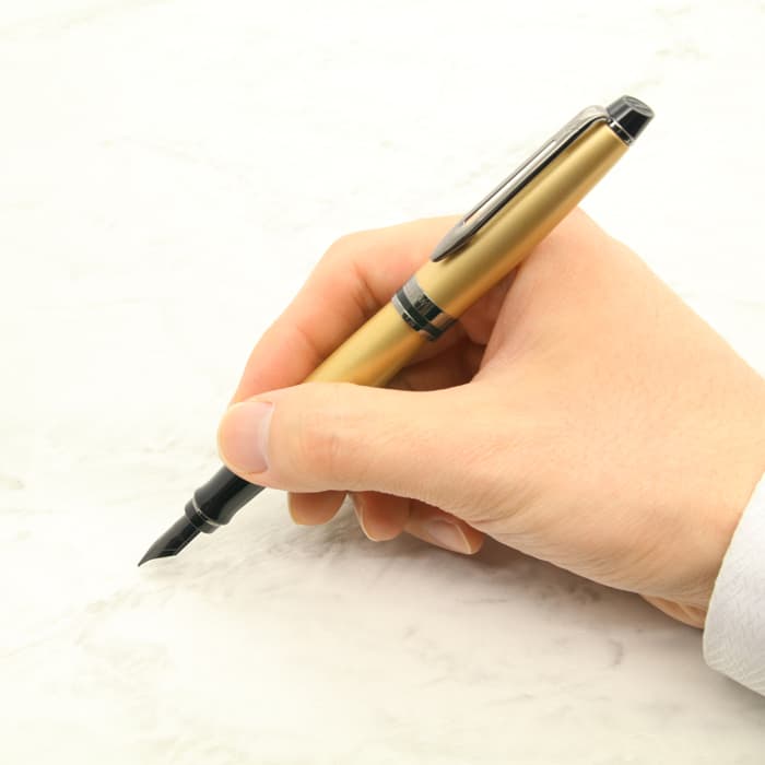 新品)WATERMAN ウォーターマン 万年筆 エキスパート ゴールドRT F