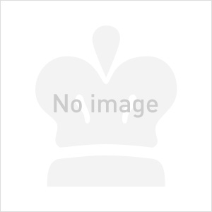 CROSS クロス ボールペン タウンゼント 10金張 (現行品)