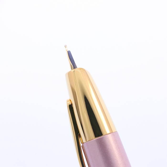 中古)PILOT パイロット 万年筆 2019年限定 キャップレス デシモ