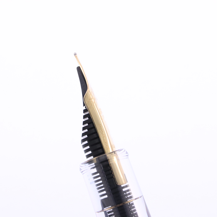 新品)PLATINUM プラチナ 万年筆 #3776 センチュリー Ver.2.0