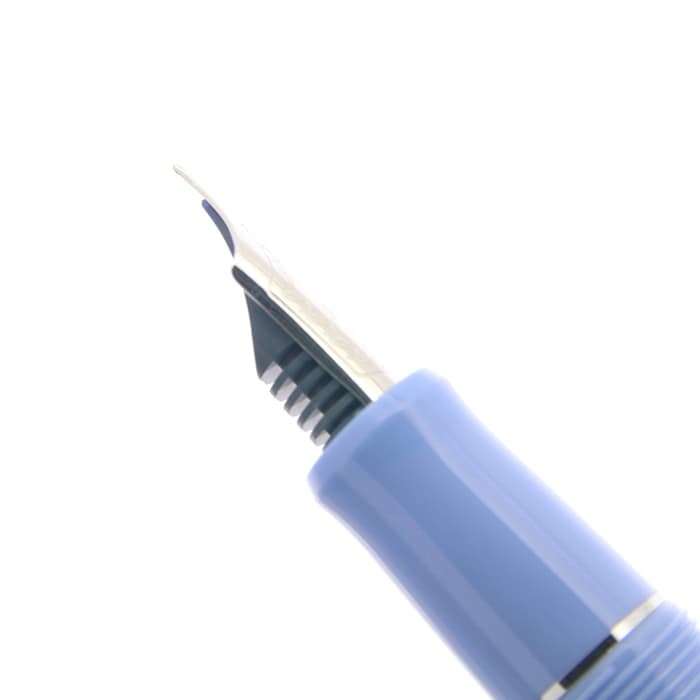 PILOT 北の彩景事典 エゾエンゴサク PILOT 北の彩景事典 エゾエンゴサク