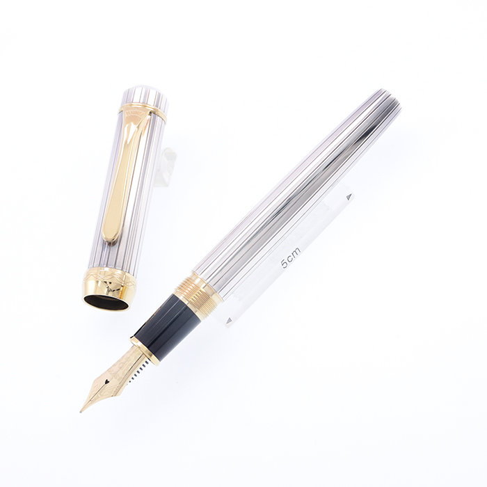 希少品 PLATINUM プラチナ万年筆 PTS-50000 中字 - 万年筆