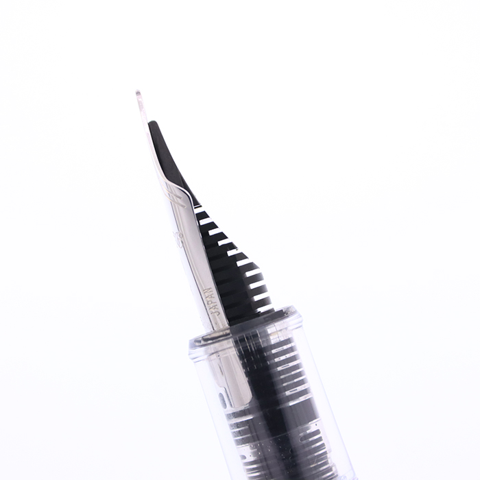 中古)PLATINUM プラチナ 万年筆 #3776 センチュリー 富士雲景 鱗雲