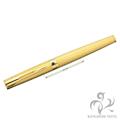 WATERMAN ウォーターマン 万年筆 レタロン ゴールドプレート