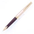PILOT パイロット 万年筆 エリート95S ディープレッド 細字