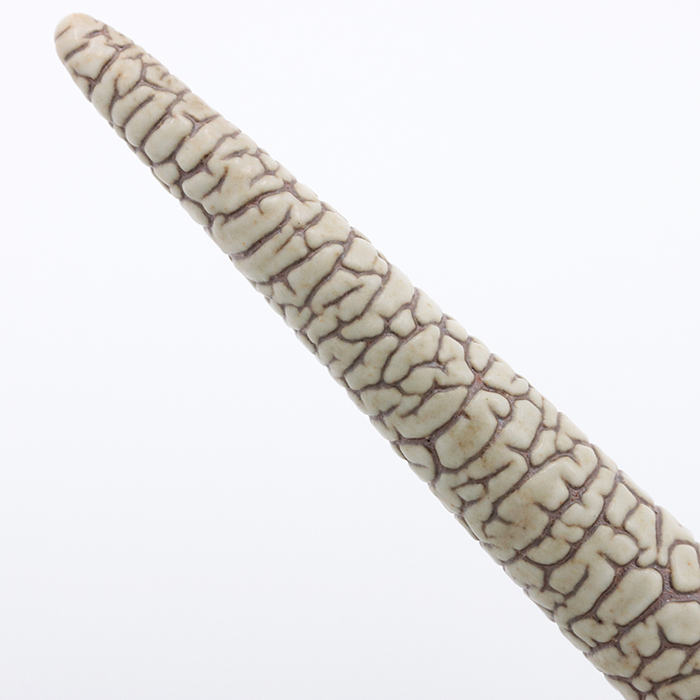 新品)HIZEN5 ヒゼンファイブ ガラスペン タケオペン TAKE/O