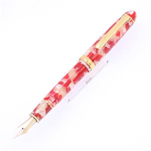 万年筆 #3776 セルロイド #24 キンギョ 中字