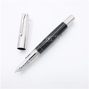 Pelikan ペリカン 万年筆 リミテッドエディション シルバースクリーン M メイン