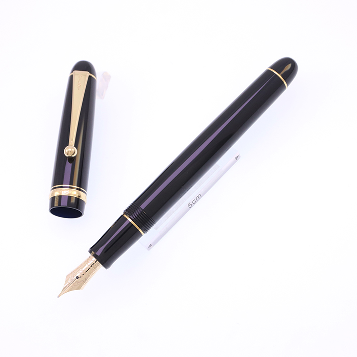 PILOT 万年筆 カスタム74 ブラック M 中字 ペン先14K 555