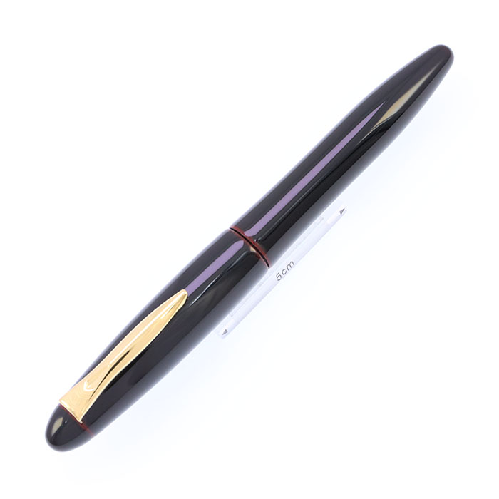 新品)PLATINUM プラチナ 万年筆 出雲 溜塗り 赤溜（商品ID