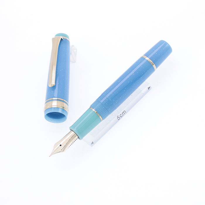 SAILOR 万年筆 未使用 新品)SAILOR セーラー 万年筆 プロフィット21 金 ブラック