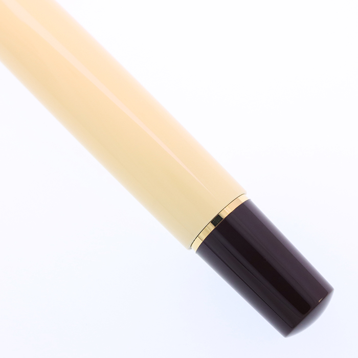 中古)Pelikan ペリカン 万年筆 スペシャルエディション クラシック