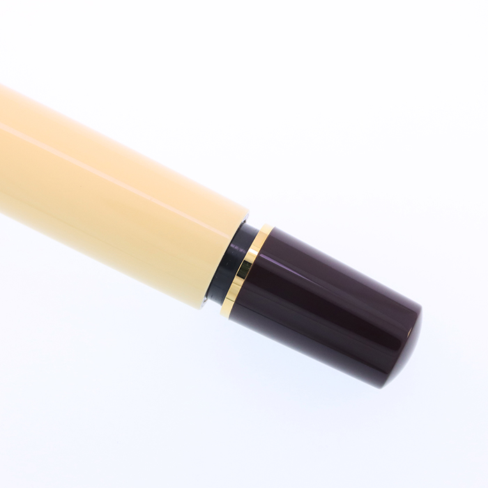 中古)Pelikan ペリカン 万年筆 スペシャルエディション クラシック