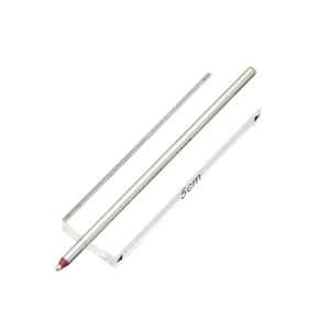PILOT パイロット 油性BP替え芯 0.7mm (BRFS-10F-R) レッド メイン