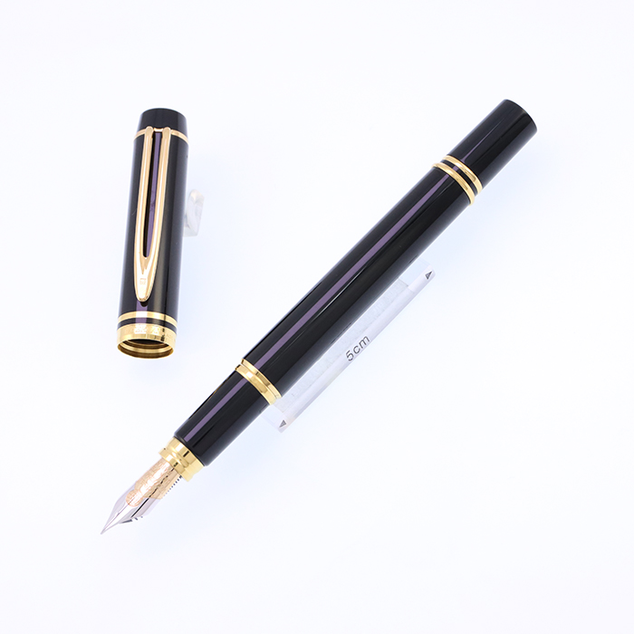 waterman ウォーターマン ル・マン100 ネーム入り 1319 waterman ウォーターマン ル・マン100 ネーム入り 1319