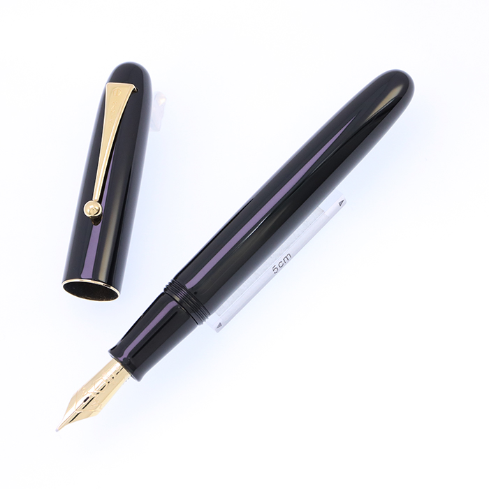 並木製作所] PILOT 万年筆 インク止め式 14K 6号ニブ