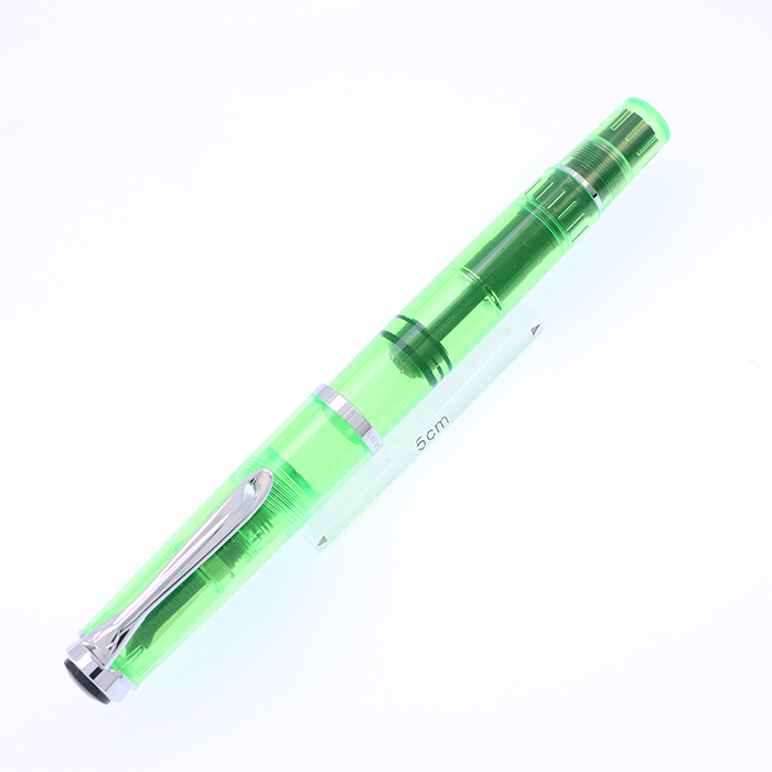 Pelikan ペリカン 万年筆 特別生産品 M205 DEMONSTRATOR