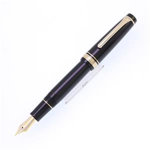 万年筆 プロフェッショナルギア 金 ブラック 細字