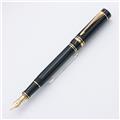 PILOT PARKER まとめ売り　パイロット パーカー 万年筆2本 PARKER（パーカー） 数量限定 万年筆 IM ライティングリチュアル