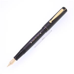 万年筆 創立70周年記念 パイロット70 中細字