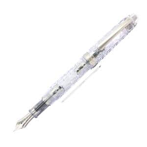 PLATINUM プラチナ 万年筆 #3776 センチュリー 六花 軟中字 メイン