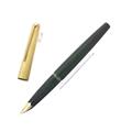 MONTBLANC モンブラン 万年筆 #224P マットフィニッシュ (両用式)